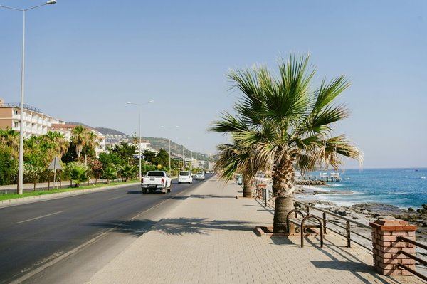 Maximizing Commute Efficiency: A Guide for UK Drivers on Leveraging Real-Time Traffic Apps